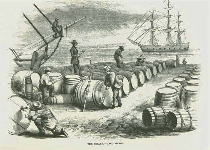 19th CENTURY WHALING TALES. VIST0089g